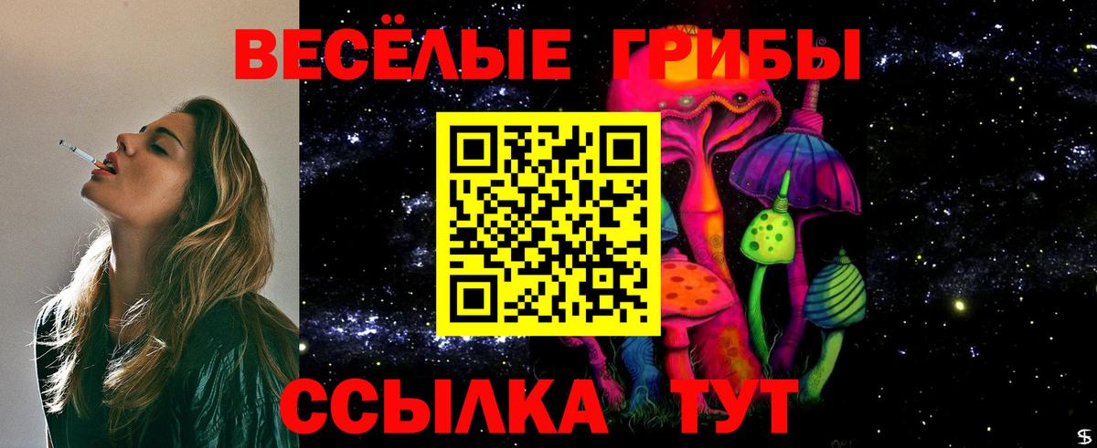 Ржев  Псилоцибиновые грибы мицелий  Вход с VPN 